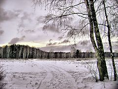 photo "***"