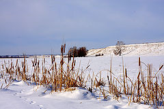 photo "***"