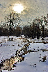 photo "***"