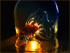 фото "Fire and ice"