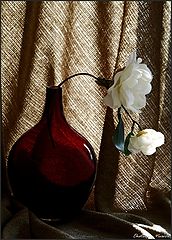 photo "***"