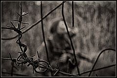 photo "***"