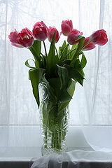 photo "flowers"