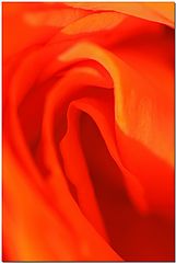 фото "Sensuality"