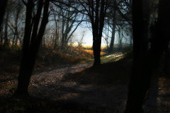 фото "Shepherds' lane"