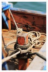 фото "tied up"