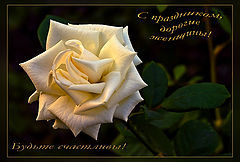 photo "***"
