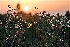 photo "Indian summer"