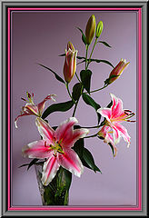 фото "*"