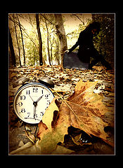 photo "Love is Only in The Autumn..."