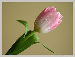 photo "For you."
