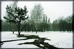 photo "Between winter and spring"