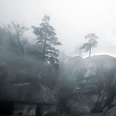 photo "***"