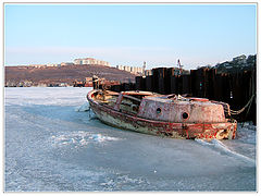 фото "Уставший морской"