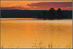 photo "***"