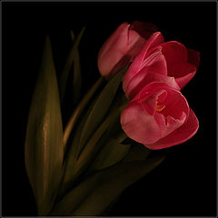 photo "***"