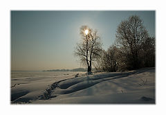 photo "***"