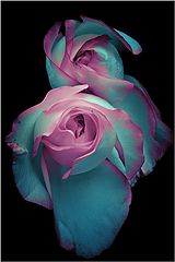 photo "Fantasies in pink shades"
