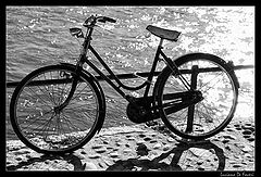 photo "The Bicycle"
