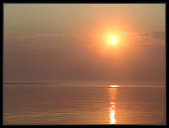 photo "***"