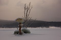 photo "***"