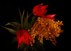 photo "***"