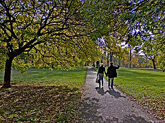 фото "A morning walk"