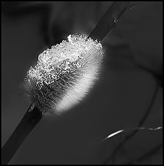 фото "Pink Floyd. "Wish You Were Here""