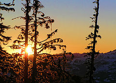 photo "Skiing Sweep"