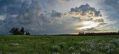 photo "Sunset on the field with daisies after storms"
