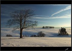 photo "Quiet Country"