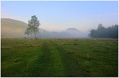 photo "***"