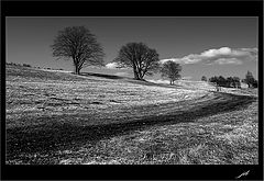 photo "intervening"
