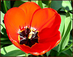 фото "10.04.08"