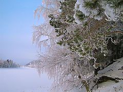 photo "Christmas"