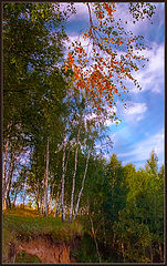 photo "***"