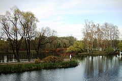 photo "***"