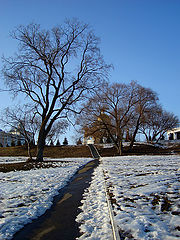 photo "March..."