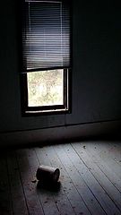фото "Darkness Surrounds"