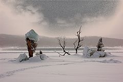 photo "***"