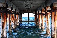 фото "Under the boardwalk..."