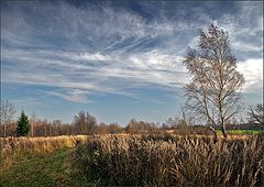 photo "Wind of Autumn"