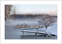 photo "***"