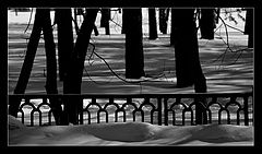 photo "Shade and light"