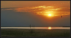 photo "***"