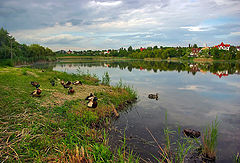 photo "***"