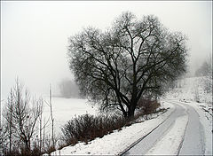 photo "***"