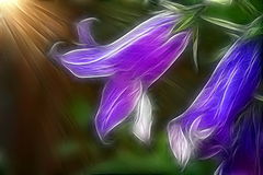 photo "***"