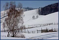 фото "Заборы"