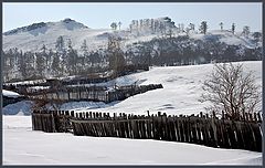 photo "Fence 2"